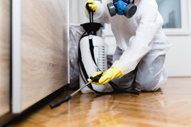  Magnolia, NC Pest Control Pros