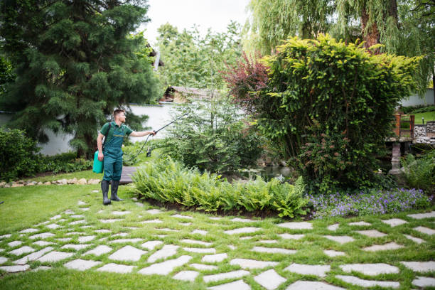 Best Commercial Pest Control Services  in Magnolia, NC