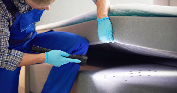 Best Residential Pest Control  in Magnolia, NC