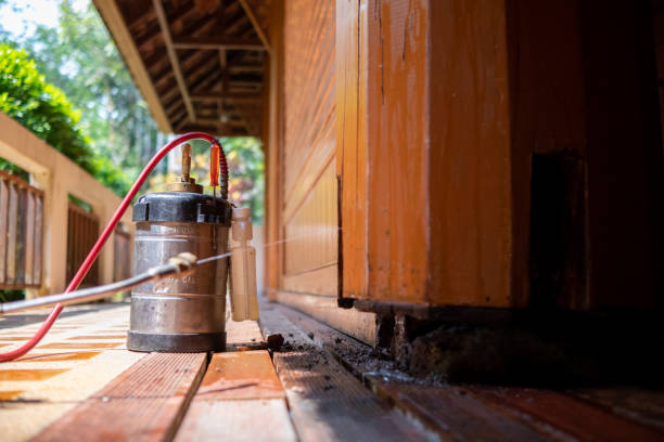 Best Affordable Pest Control Services  in Magnolia, NC