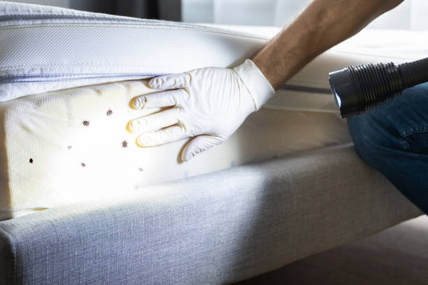 Best Pest Control Treatment  in Magnolia, NC