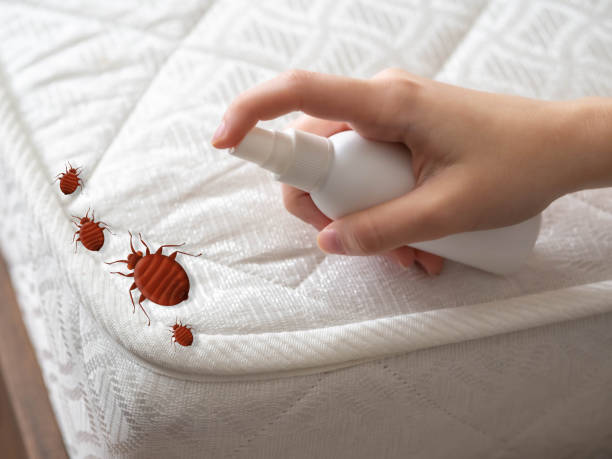 Best Bed Bug Extermination  in Magnolia, NC