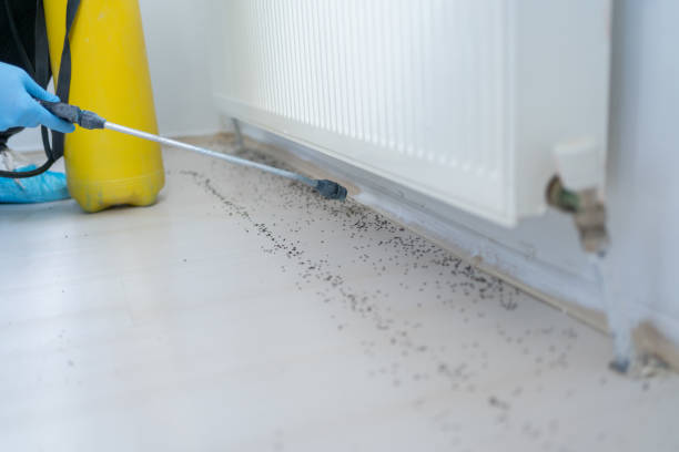 Best Cockroach Control Services  in Magnolia, NC