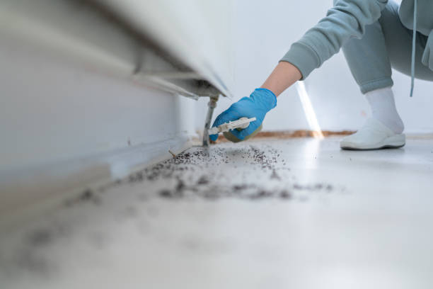 Best Exterminator Services  in Magnolia, NC