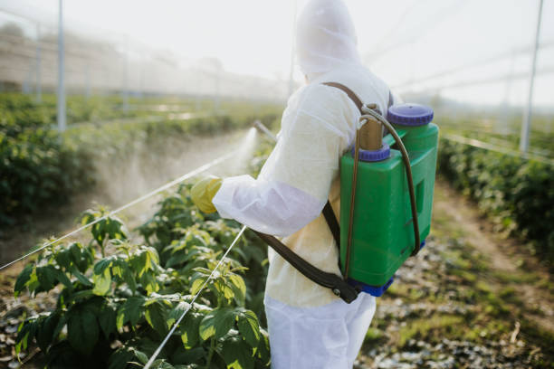 Best Affordable Pest Control Services  in Magnolia, NC